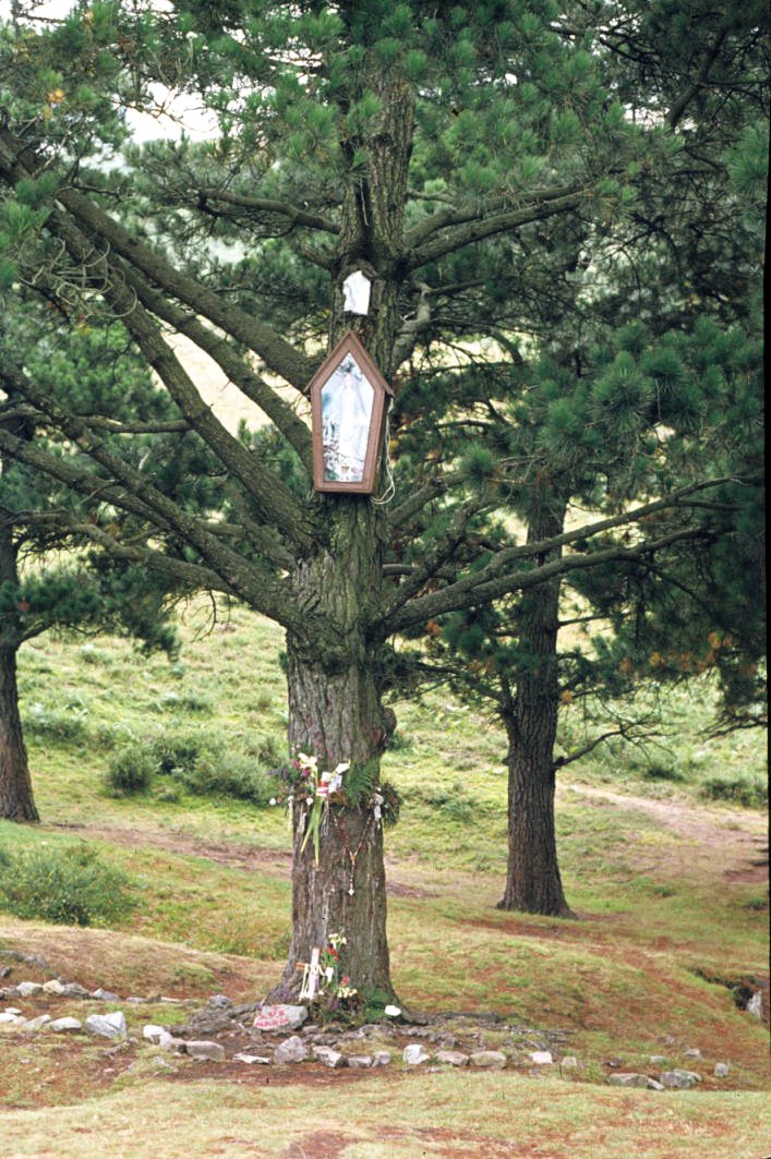 Von LBM1948 - Eigenes Werk, CC BY-SA 4.0, https://commons.wikimedia.org/w/index.php?curid=92759901